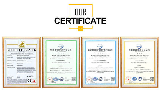 200 kW Guangxi Yuchai Dieselgenerator mit Wasserkühlsystem und automatischem Schalter